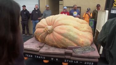Abóbora com mais de mil quilos vence festival na Califórnia 