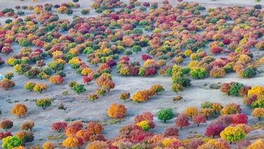 Cores de outono transformam paisagens na China 