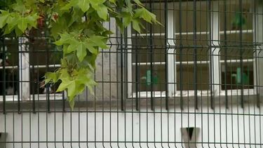 GNR registou 103 crimes de 'bullying' no ano letivo de 2023/2024