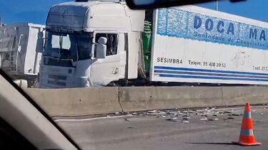 Camião de transporte de peixe embate contra separador central na entrada da Ponte Vasco da Gama
