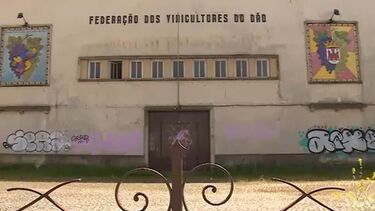 Homem obrigado a beber azeite e a tomar laxante para expelir droga em Viseu