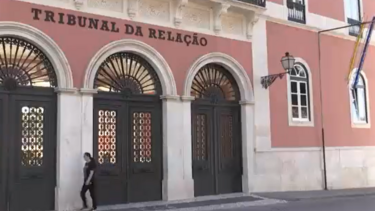 Cadela pit bull desfigura criança de quatro anos