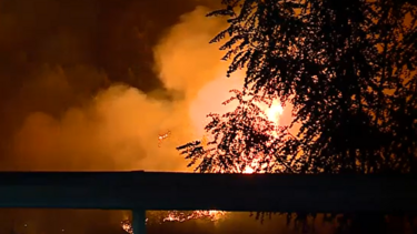 Detido suspeito de atear um dos grandes fogos de Vila Pouca de Aguiar