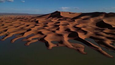 Dunas alagadas e palmeiras rodeadas de água: Imagens impressionantes mostram deserto do Saara inundado 
