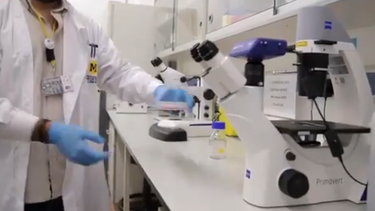 Investigação nacional pretende travar tumores e demência