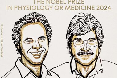 Viktor Victor Ambros e Gary Ruvkun