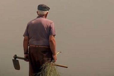 Primeiro-ministro entrega primeiro apoio a agricultores em Penalva do Castelo afetados por incêndios 