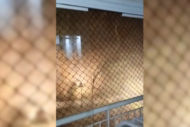 Tempestade após meses de seca severa mata quatro pessoas e provoca apagão em São Paulo