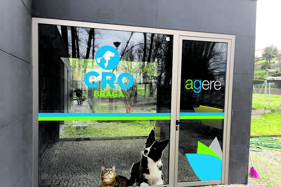 2024-10-03_20_26_03 Imagem 16578625.jpg