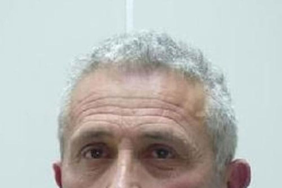 Domingos Manuel Pinto Coelho