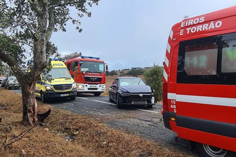 Um ferido grave em despiste na EN 383 no concelho de Alcácer do Sal