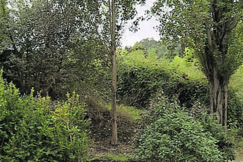 Local onde o carro foi encontrado com o cadáver