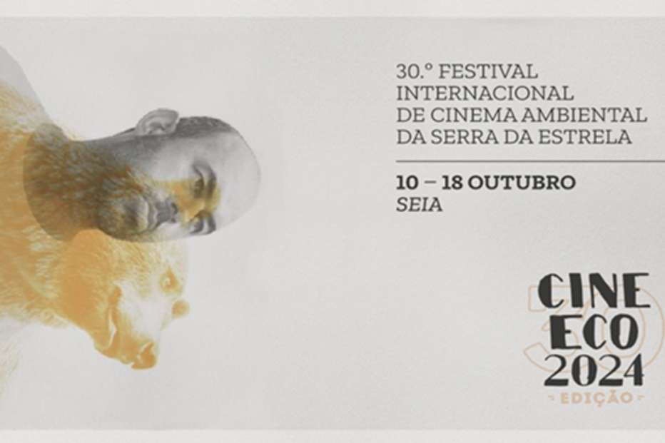 2024-10-09_18_03_40 Imagem1.png