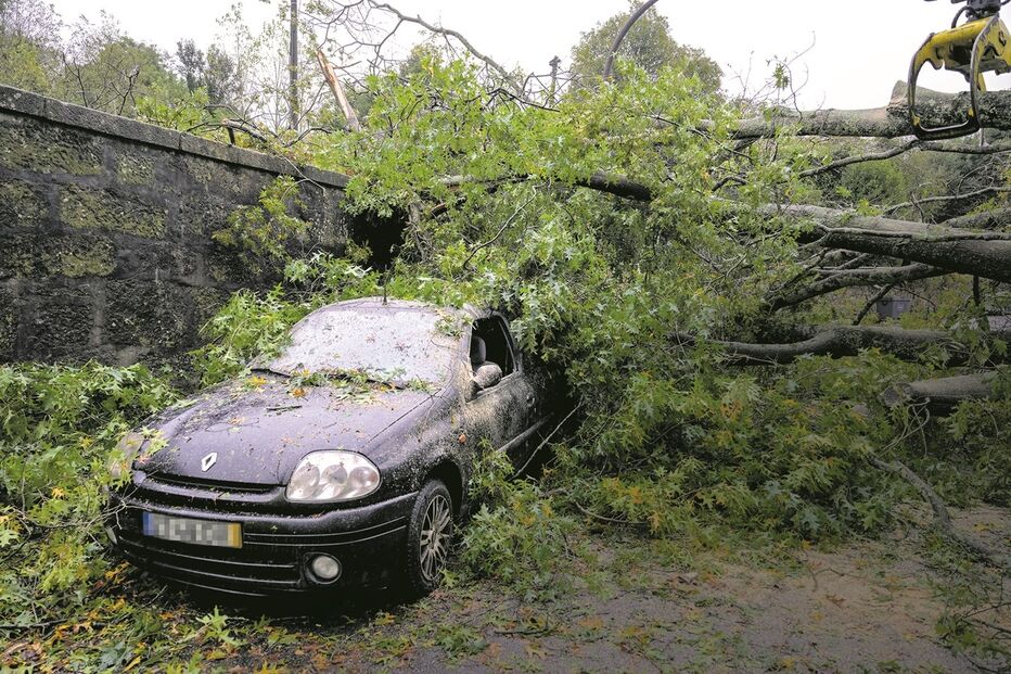 Queda de uma árvore sobre um carro no Porto: mau tempo dos últimos dias provocou vários danos em todo o País