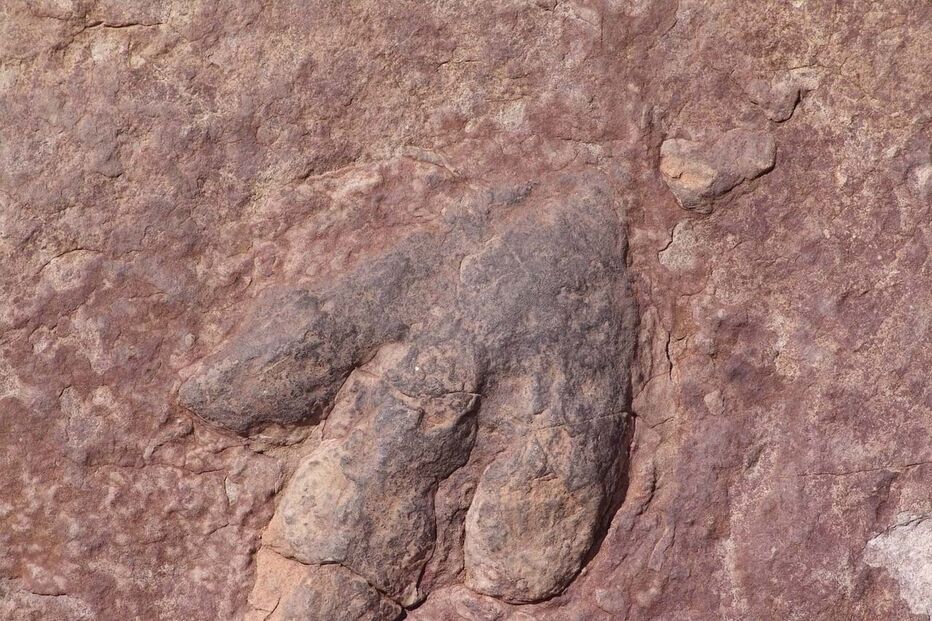 Pegada de dinossauro