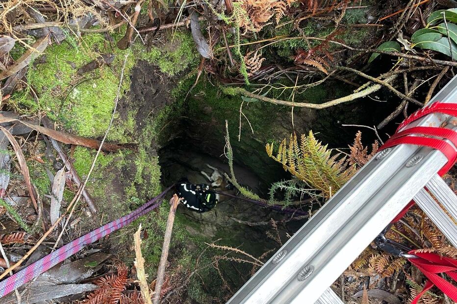 2024-10-15_12_40_50 resgate1.jpg