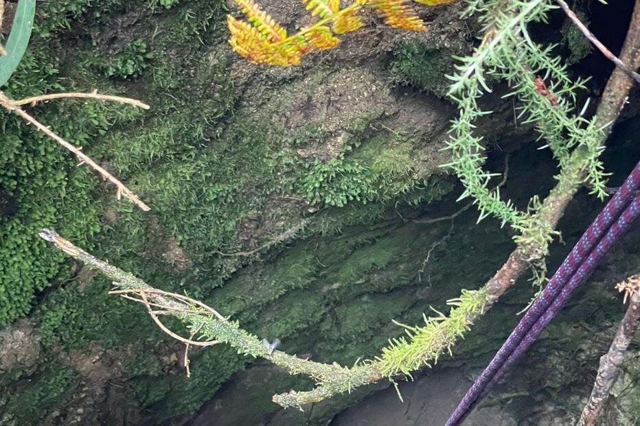 2024-10-15_12_40_53 resgate4.jpg