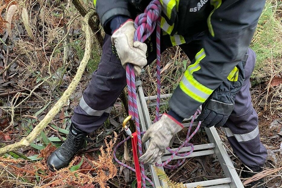 2024-10-15_12_40_54 resgate5.jpg