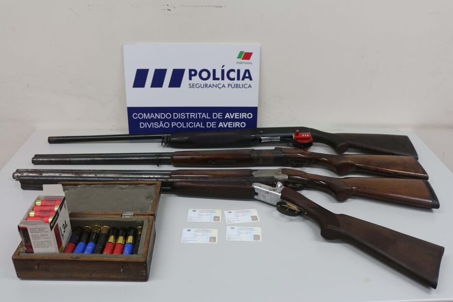 Homem detido por violência doméstica em Aveiro