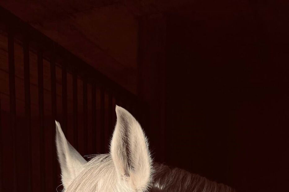 Cristina Ferreira e João Monteiro em escapadinha romântica