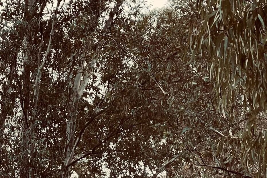 Cristina Ferreira e João Monteiro em escapadinha romântica