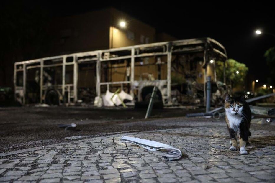 Violência no Bairro do Zambujal 