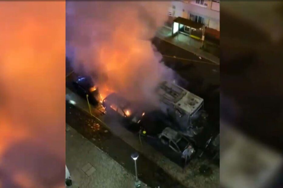 2024-10-24_09_48_32 tensap.jpg