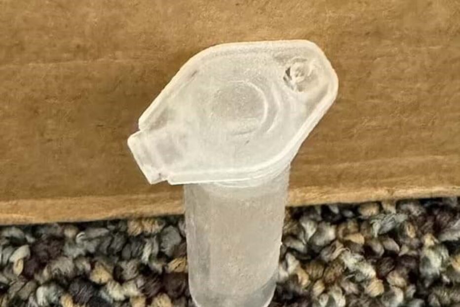 2024-10-24_13_09_36 2-26cfb288.jpg