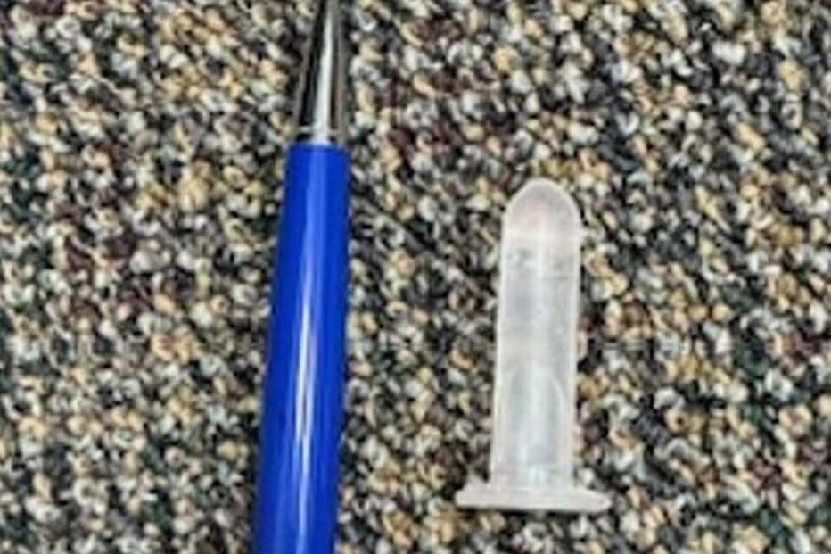 2024-10-24_13_09_45 2-a3931fce.jpg