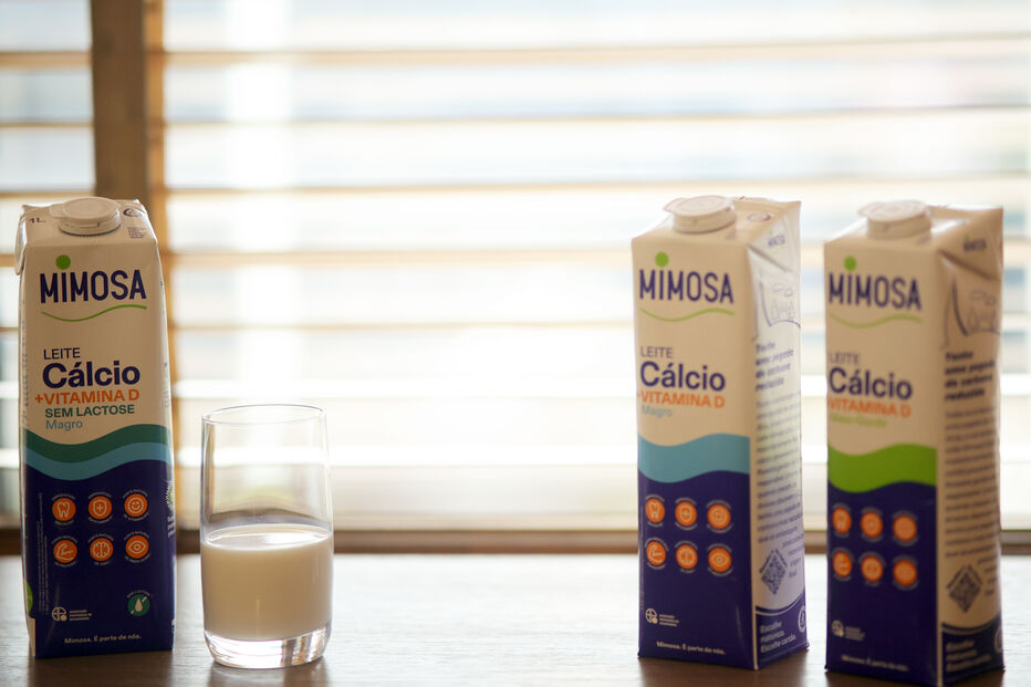 Mimosa native 3 foto secundária.jpg