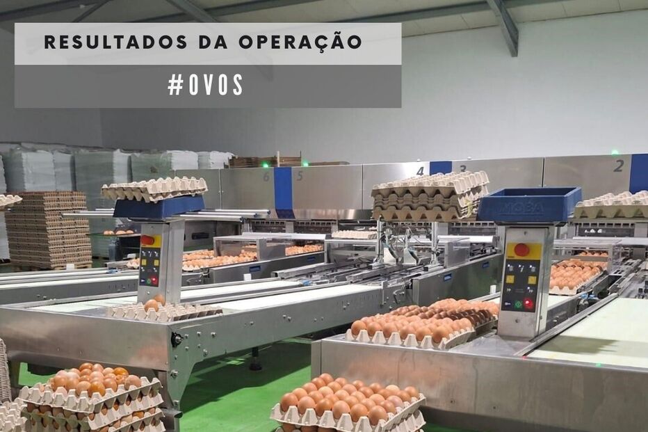 ASAE apreende mais de 114 mil ovos em estabelecimento ilegal