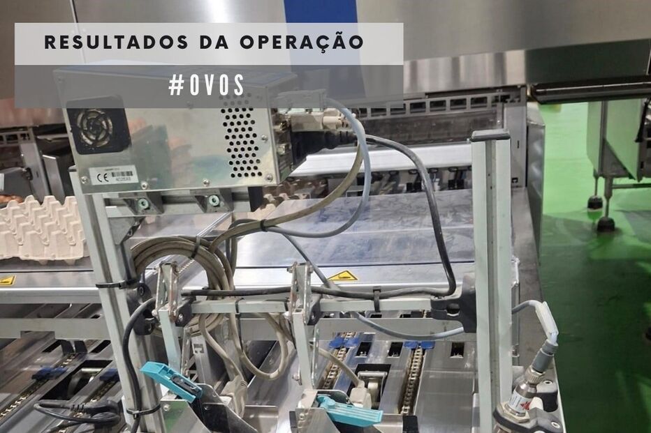 ASAE apreende mais de 114 mil ovos em estabelecimento ilegal