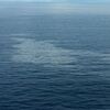 <![CDATA[ Sobe para 68 número de corpos recuperados após naufrágio de barco no Iémen ]]>