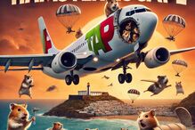Os hamsters invadiram um avião da TAP e a Internet não perdoou