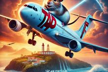 Os hamsters invadiram um avião da TAP e a Internet não perdoou