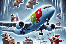 Os hamsters invadiram um avião da TAP e a Internet não perdoou
