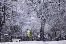 Neve cobriu de branco o Reino Unido