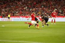 Benfica - Estrela da Amadora