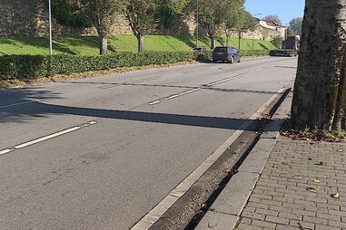 Pode ter surgido de trás da árvore e surpreendido condutora