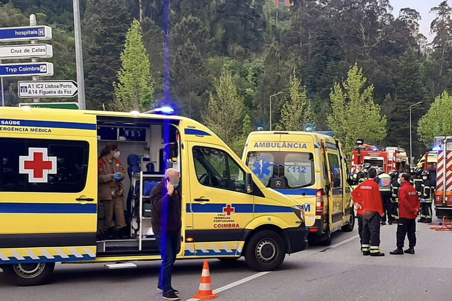 Imagem RALM11043.JPG (22877259) (Milenium)