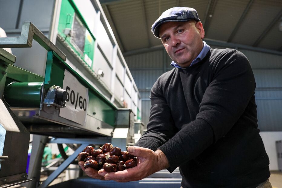 Imagem 43878556.JPG (22928226) (Milenium)