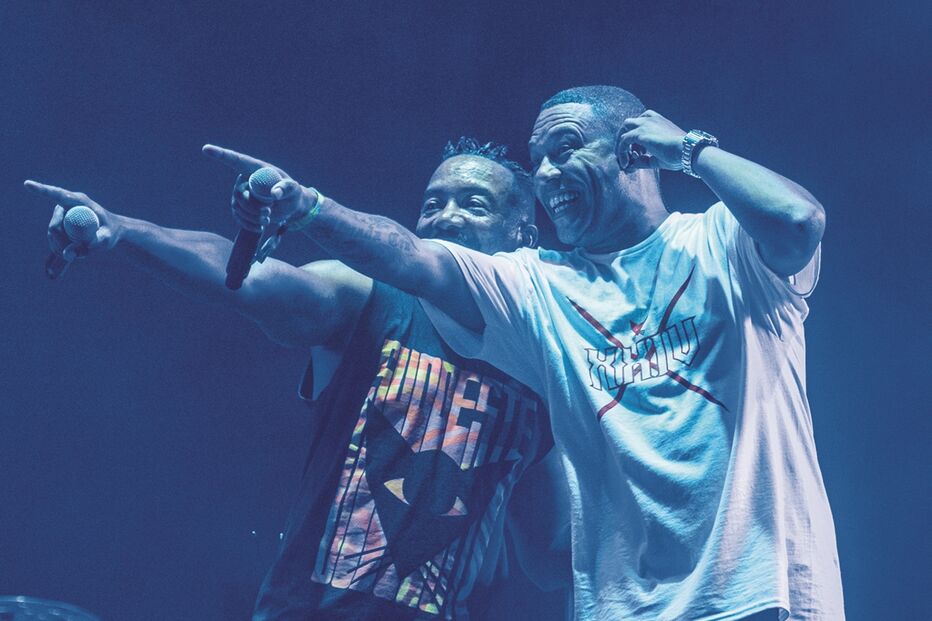 Imagem Imagem LGU_7402.jpg (22948546) (Milenium)