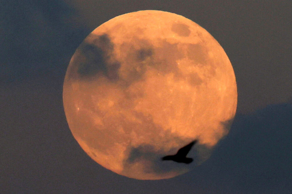 Superlua vista no Egito