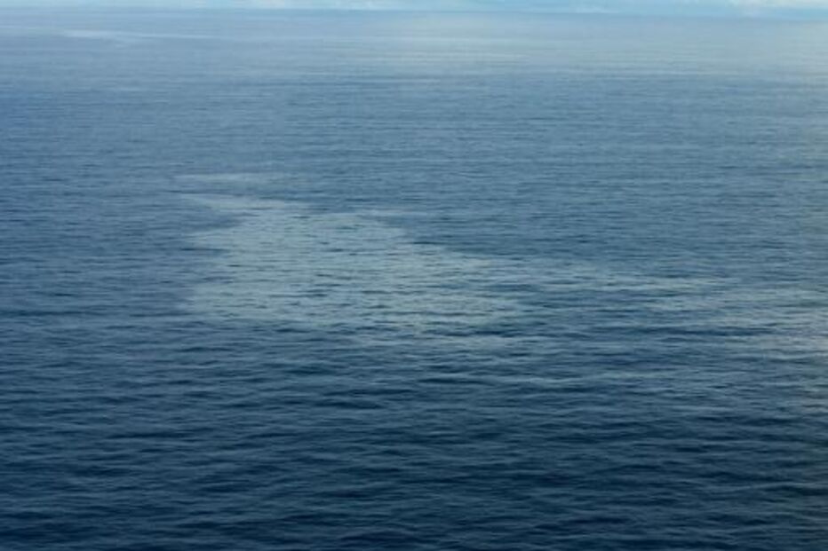 img_932x621uu2024-11-18-13-29-37-2178026.jpg