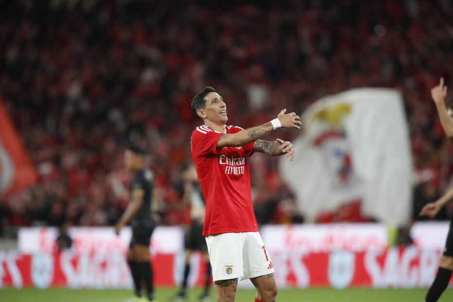 Benfica - Estrela da Amadora