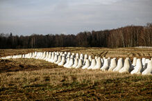 2024-11-30T114629Z_523849910_RC2NFBAQH6R4_RTRMADP_3_POLAND-DEFENCE-BORDER.JPG
