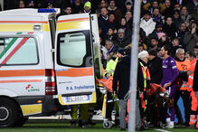 Bove cai inanimado no relvado