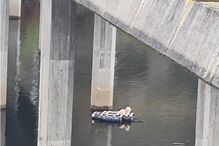 Bombeiros da Guarda salvam cão à deriva em barragem
