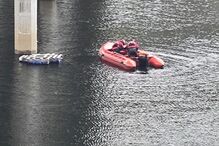 Bombeiros da Guarda salvam cão à deriva em barragem