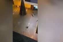 Tiroteio no Palácio do Gelo: Atirador e vítimas fazem parte de famílias rivais que se envolveram em agressões em Viseu